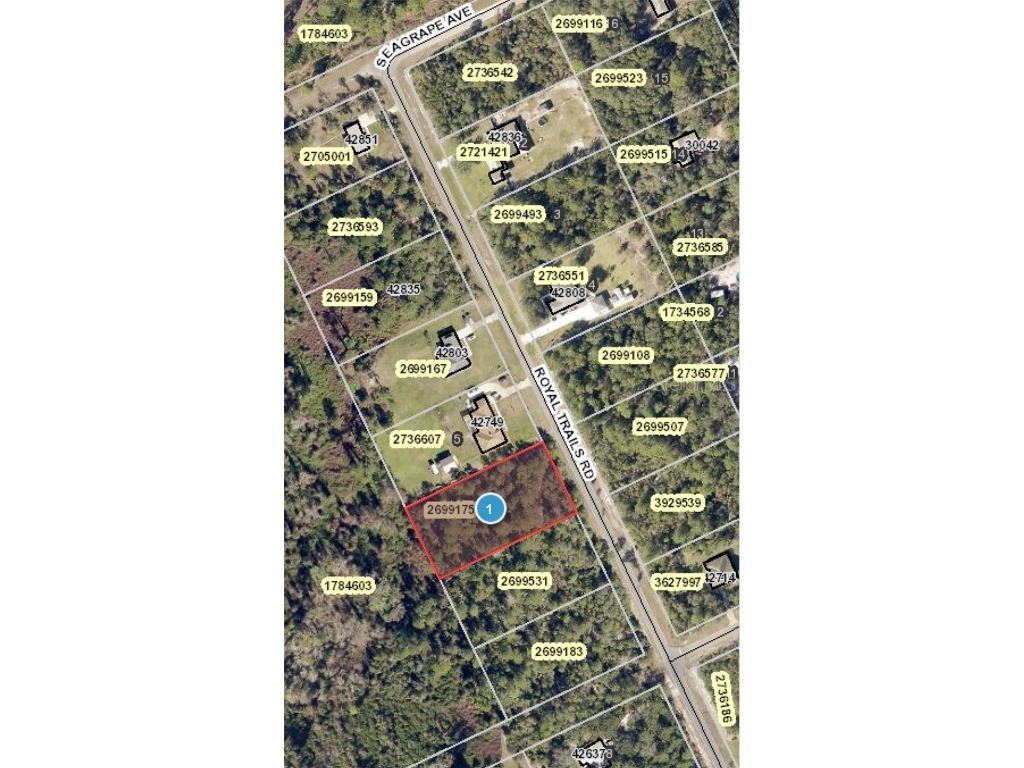 Royal Trail Road Eustis FL 32736 V4925772 image1