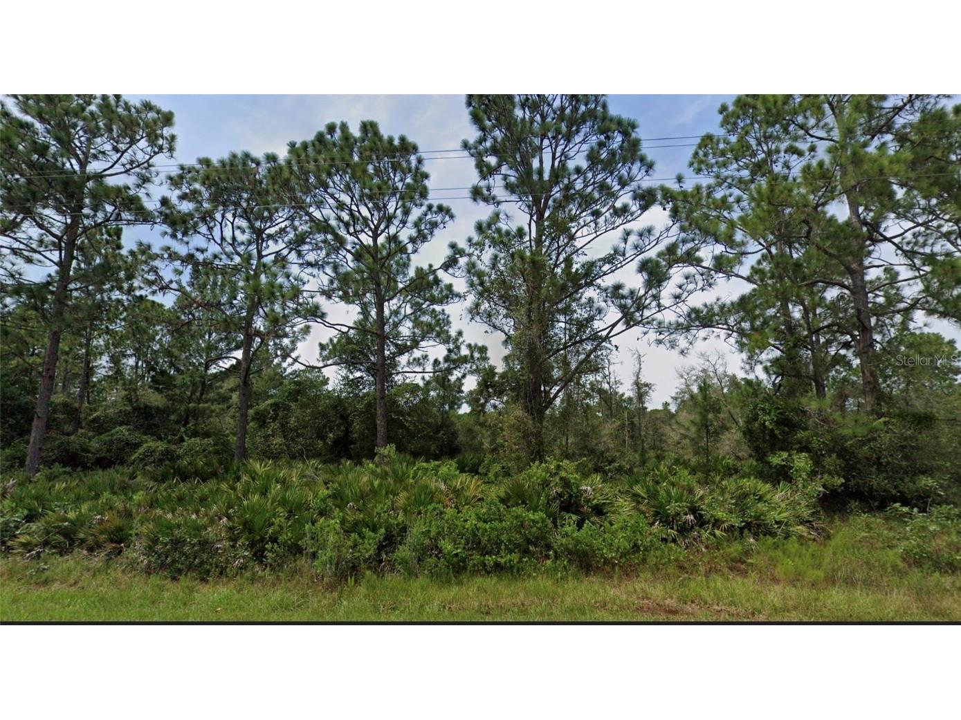 Royal Trails Road Eustis FL 32726 - LAKE NORRIS G5064842 image1