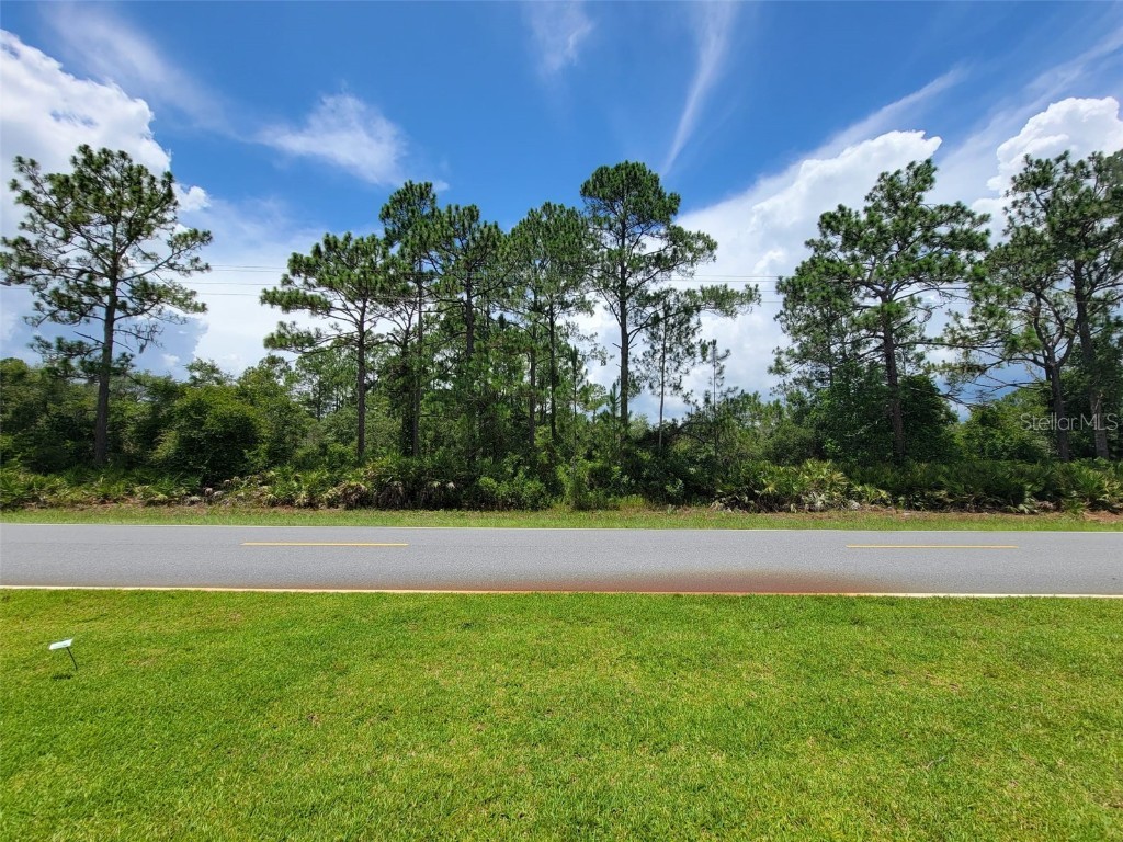 Royal Trails Road Eustis FL 32726 O6155435 image1