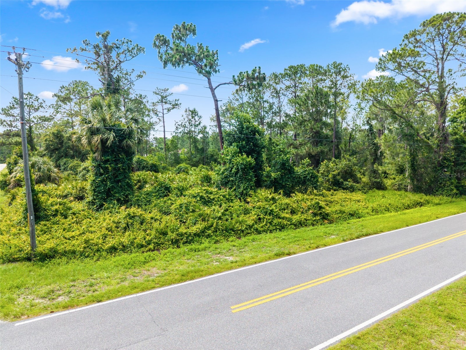Royal Trails Road Eustis FL 32726 O6413774 image10