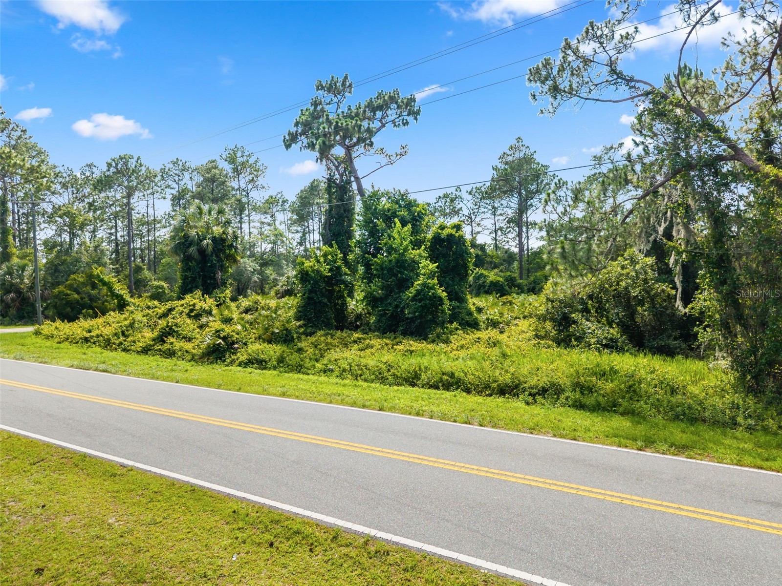 Royal Trails Road Eustis FL 32726 O6413774 image11