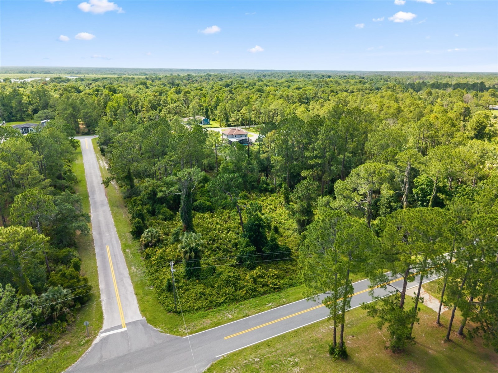 Royal Trails Road Eustis FL 32726 O6413774 image2
