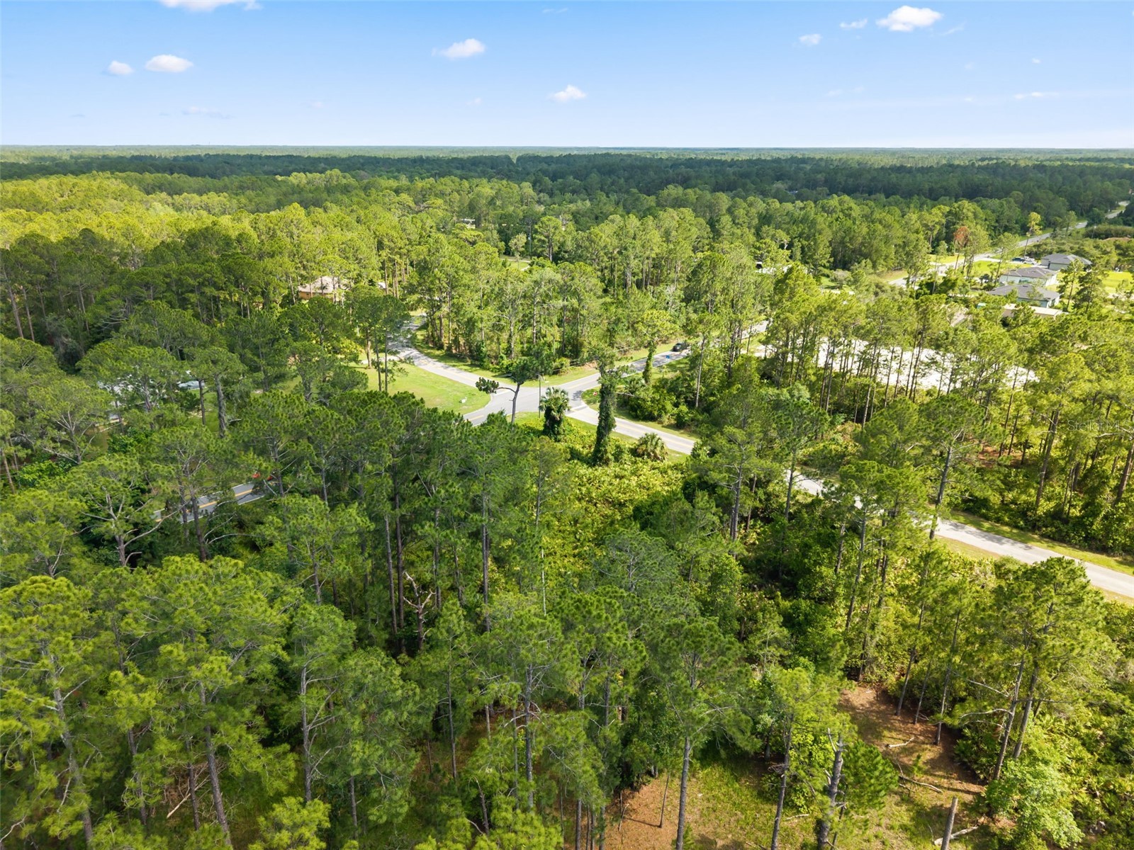 Royal Trails Road Eustis FL 32726 O6413774 image7