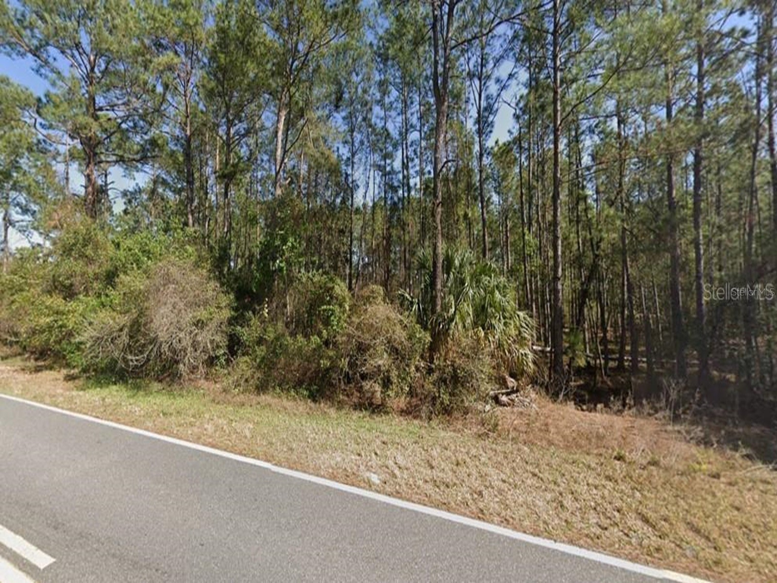 Royal Trails Road Eustis FL 32736 O6265585 image1