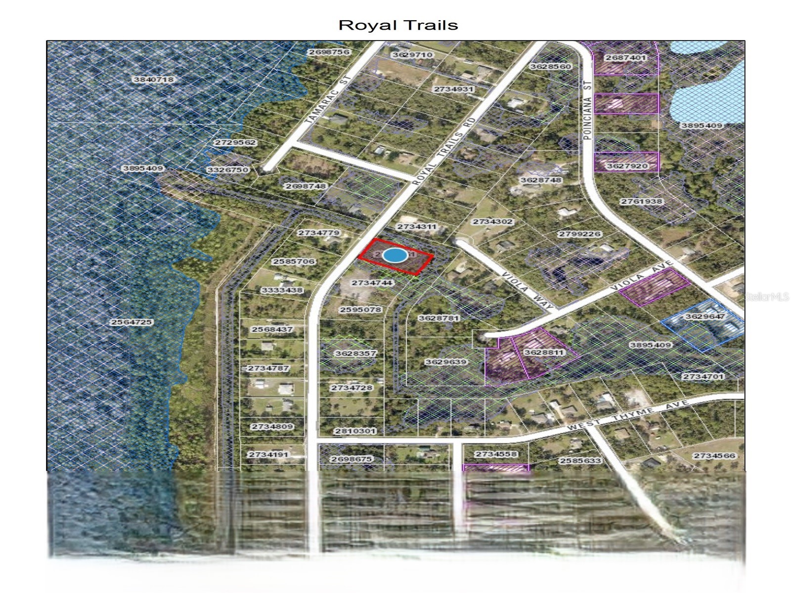 Royal Trails Road Eustis FL 32736 O6265585 image2