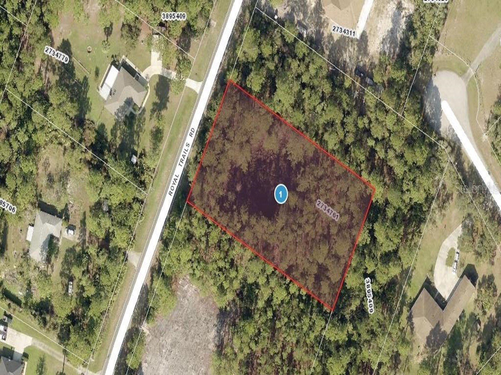 Royal Trails Road Eustis FL 32736 O6265585 image5
