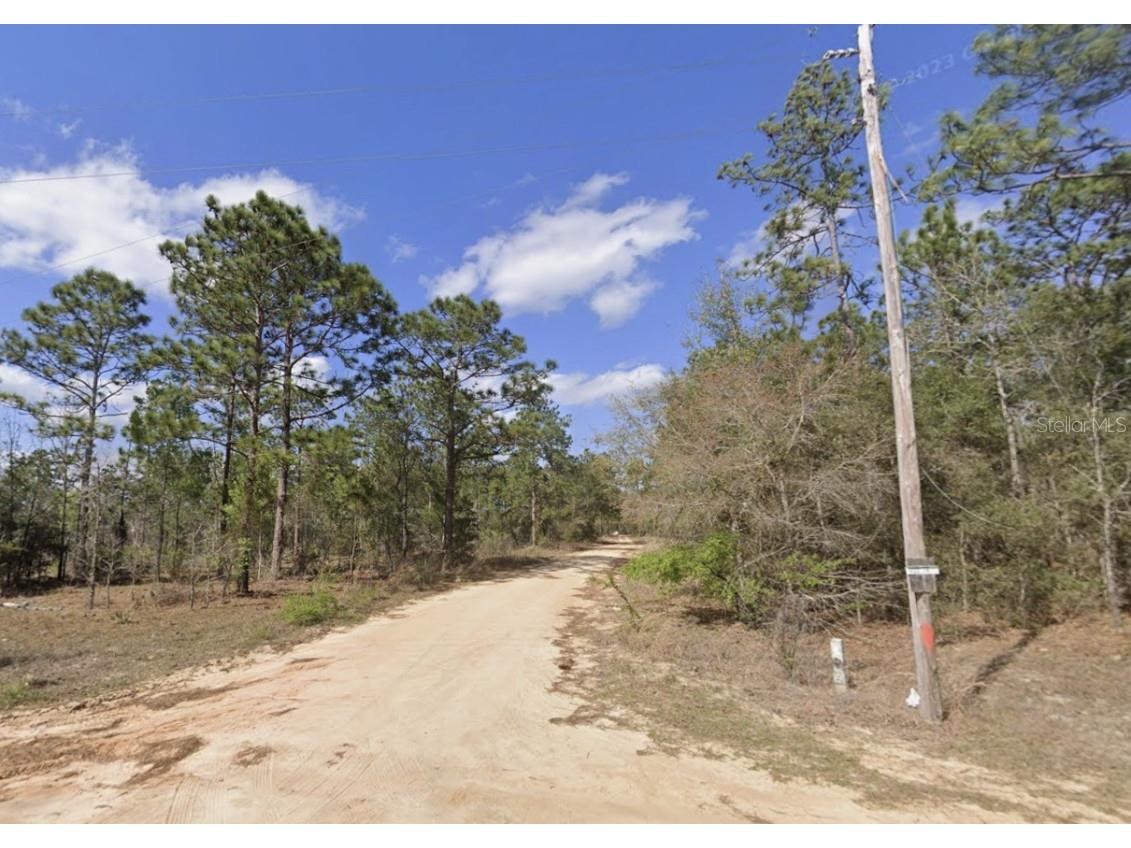 Royal Way Interlachen FL 32148 A4695954 image2