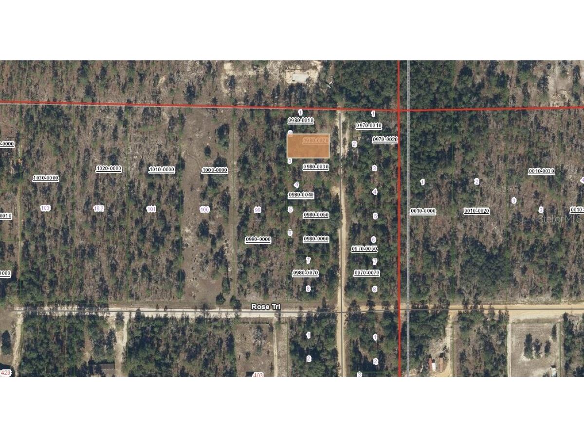 Royal Way Interlachen FL 32148 A4695954 image3