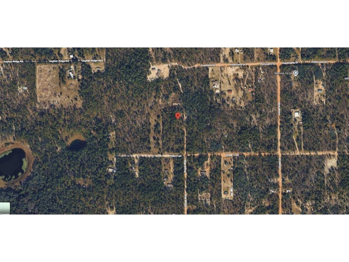 Royal Way Interlachen FL 32148 A4695954 image4