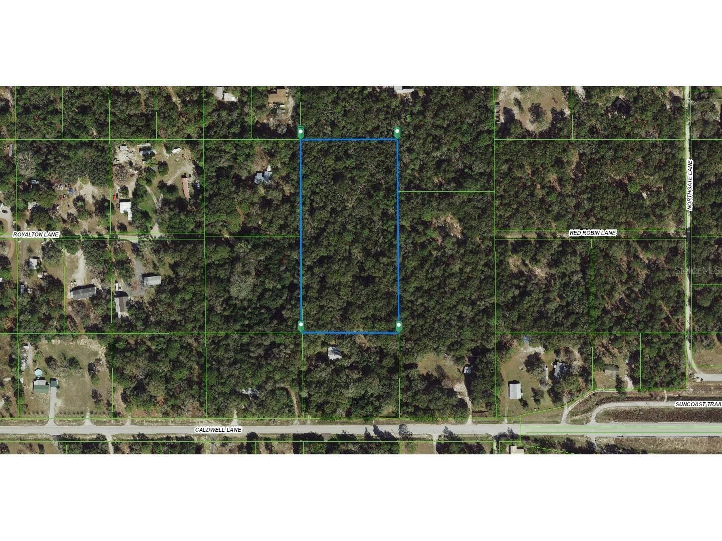 Royalton Lane Spring Hill FL 34610 TB8474693 image1
