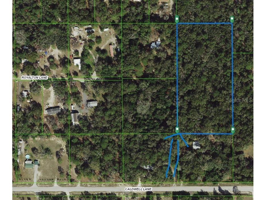 Royalton Lane Spring Hill FL 34610 TB8474693 image4