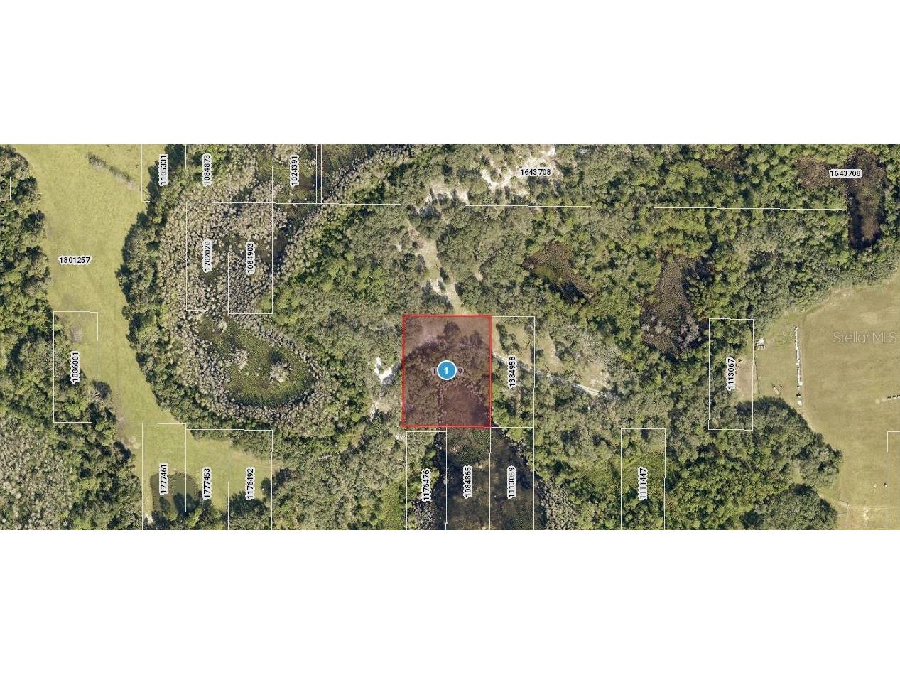 Roys Road Clermont FL 34711 O6235691 image1