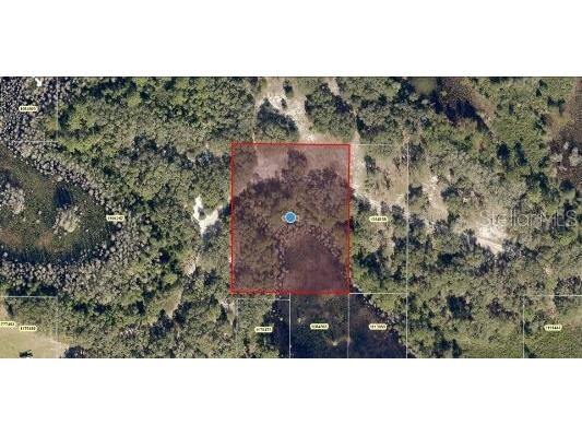 Roys Road Clermont FL 34711 O6235691 image2