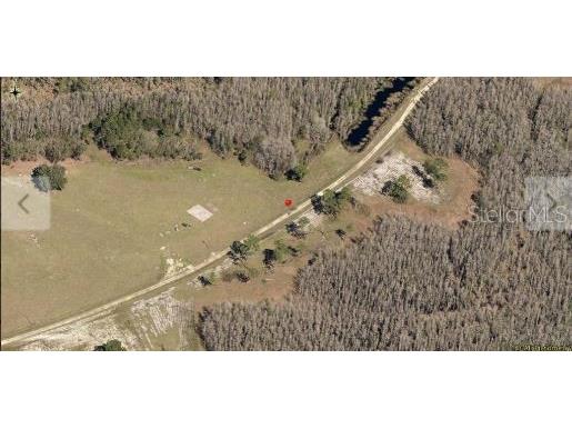 Roys Road Clermont FL 34711 O6235691 image3