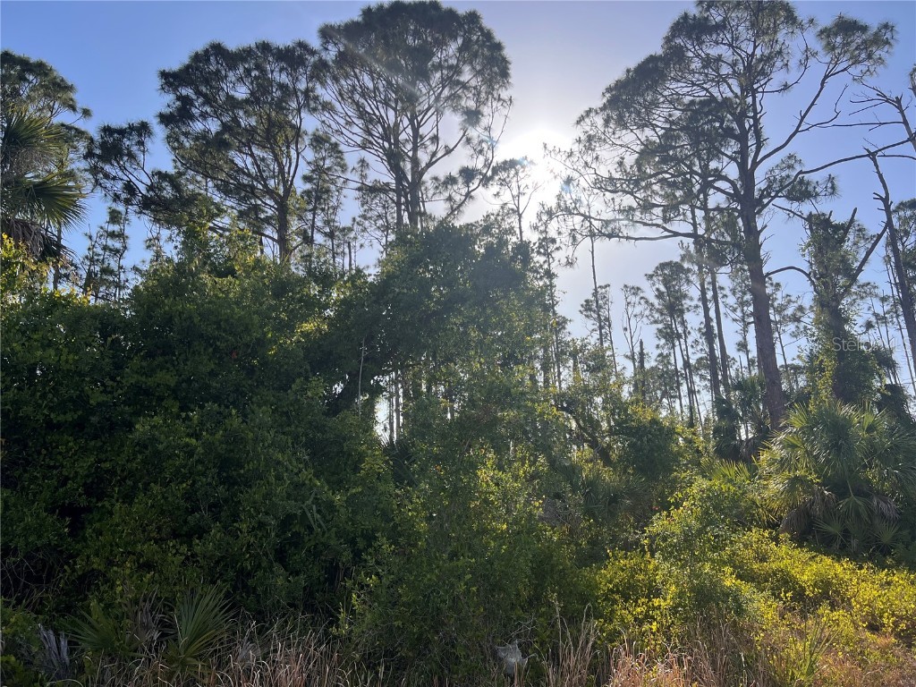 Rufus Road North Port FL 34288 - TWIN LAKES WATERWAY A4650449 image1