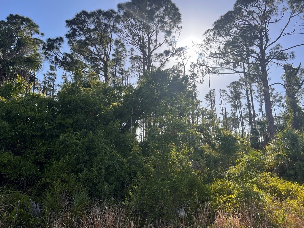 Rufus Road North Port FL 34288 - TWIN LAKES WATERWAY A4650449 image2