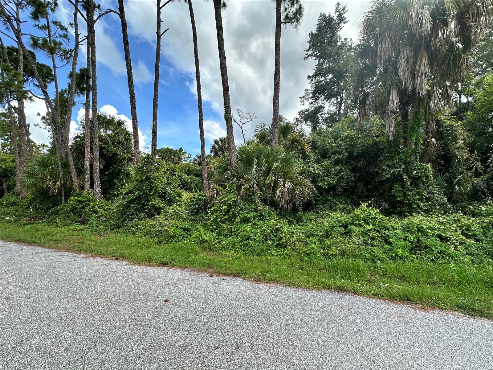 Rufus Road North Port FL 34288 C7526689 image4