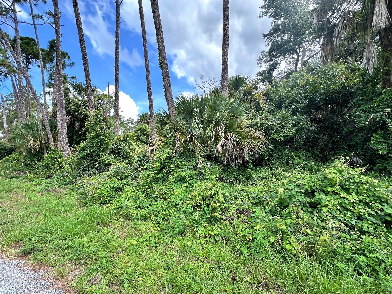 Rufus Road North Port FL 34288 C7526689 image5