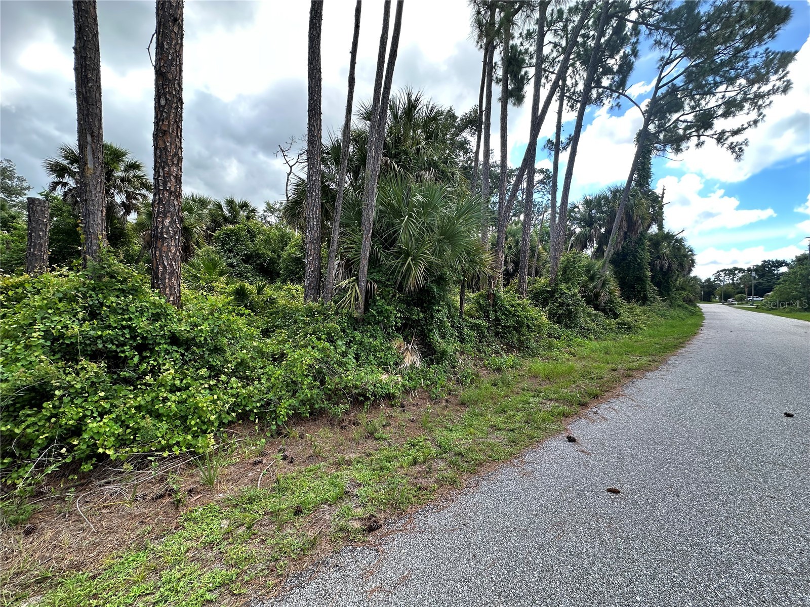 Rufus Road North Port FL 34288 C7526689 image6