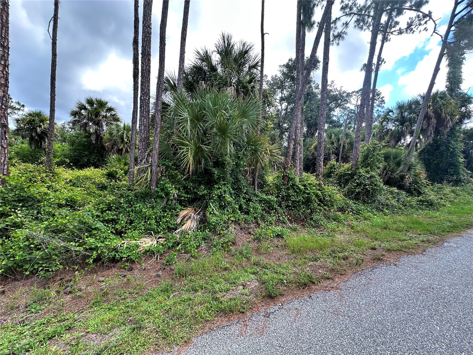 Rufus Road North Port FL 34288 C7526689 image7