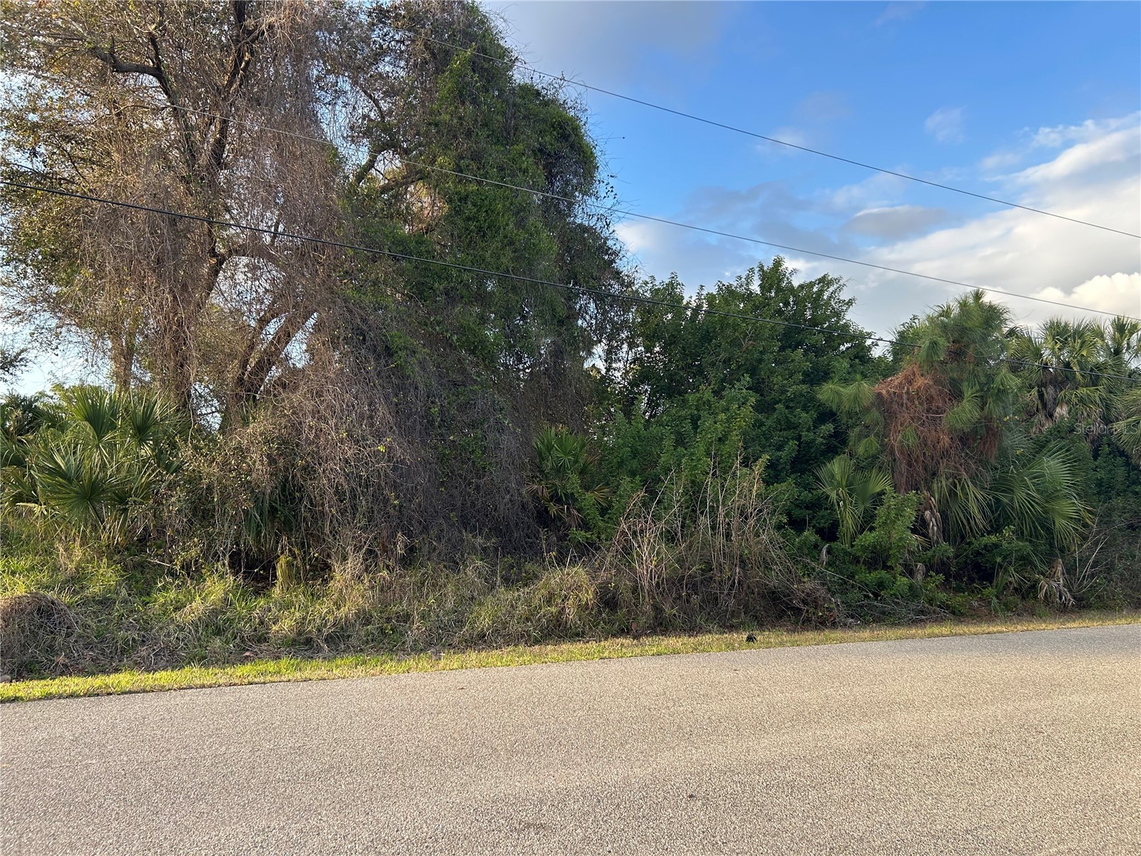 Rumson Road North Port FL 34288 A4685332 image2