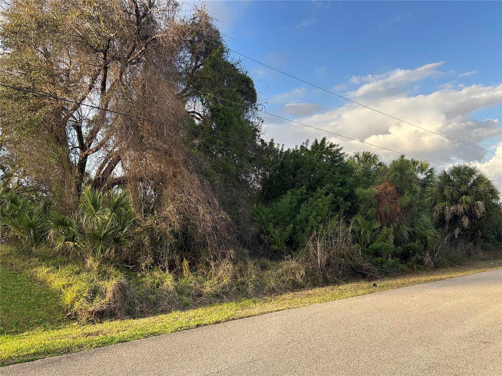 Rumson Road North Port FL 34288 A4685332 image5