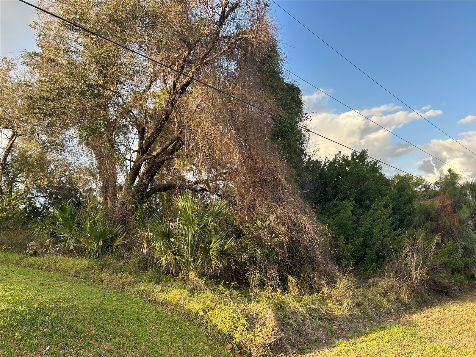 Rumson Road North Port FL 34288 A4685332 image6