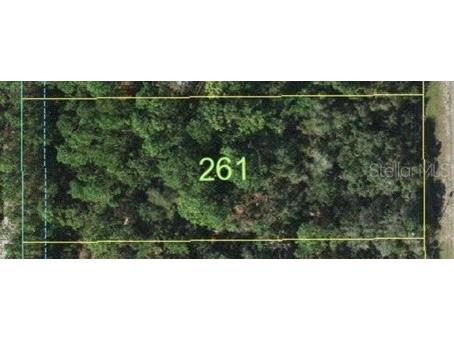 Running Horse Trail Saint Cloud FL 34771 J967804 image1