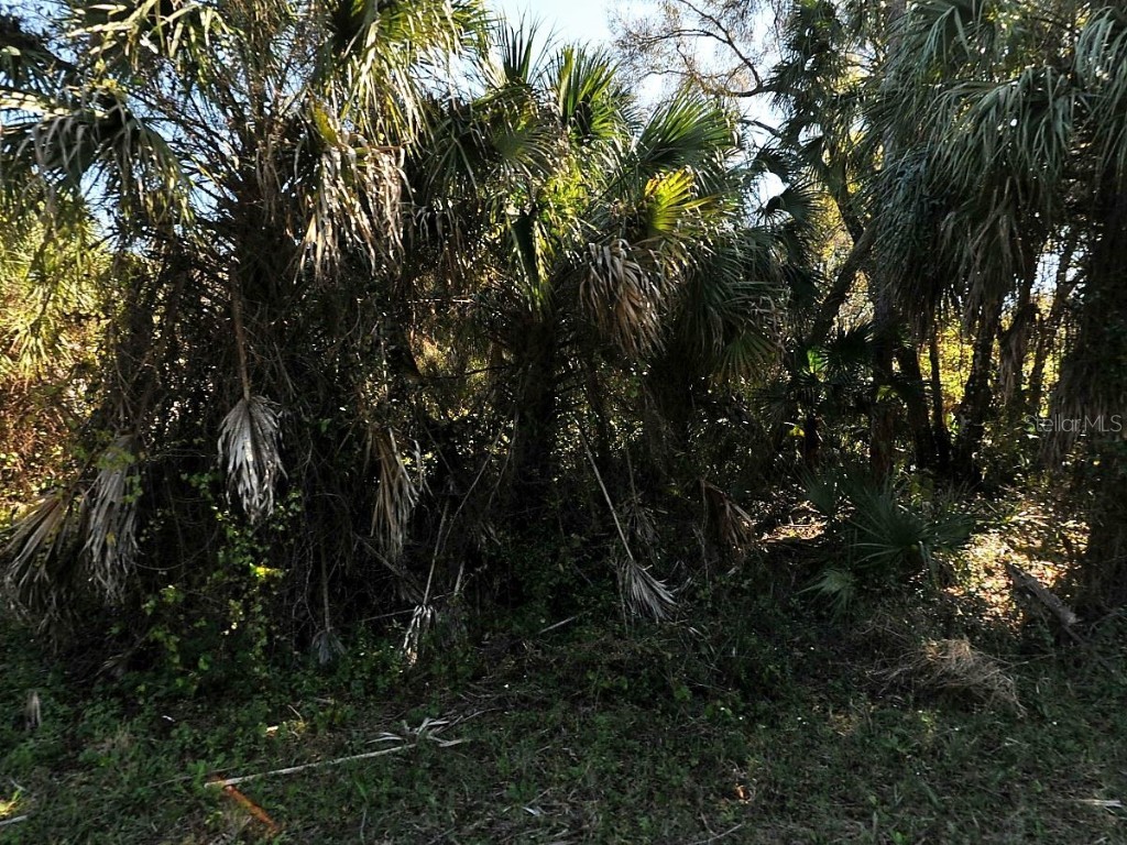 Russellville Street North Port FL 34288 A4647647 image1