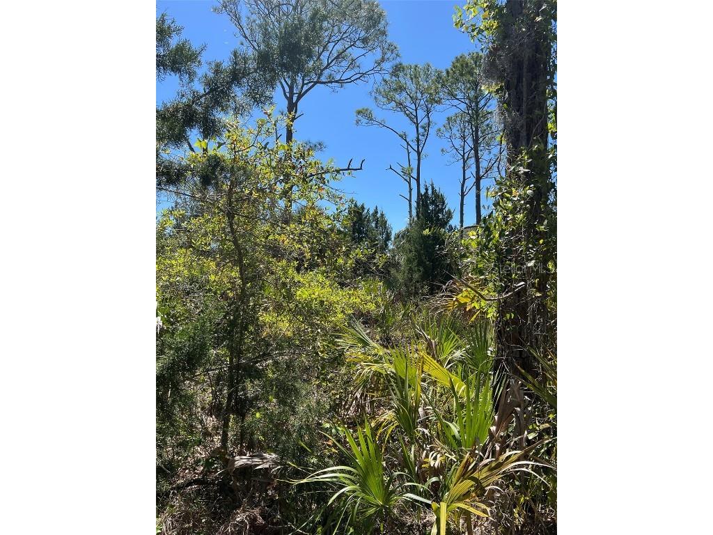 Rye Key Cedar Key FL 32625 - GULF OF MEXICO OM675445 image4