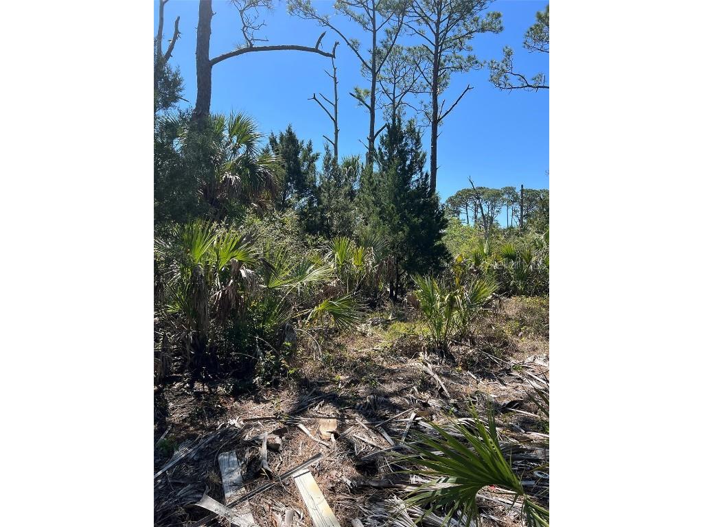 Rye Key Cedar Key FL 32625 - GULF OF MEXICO OM675445 image5