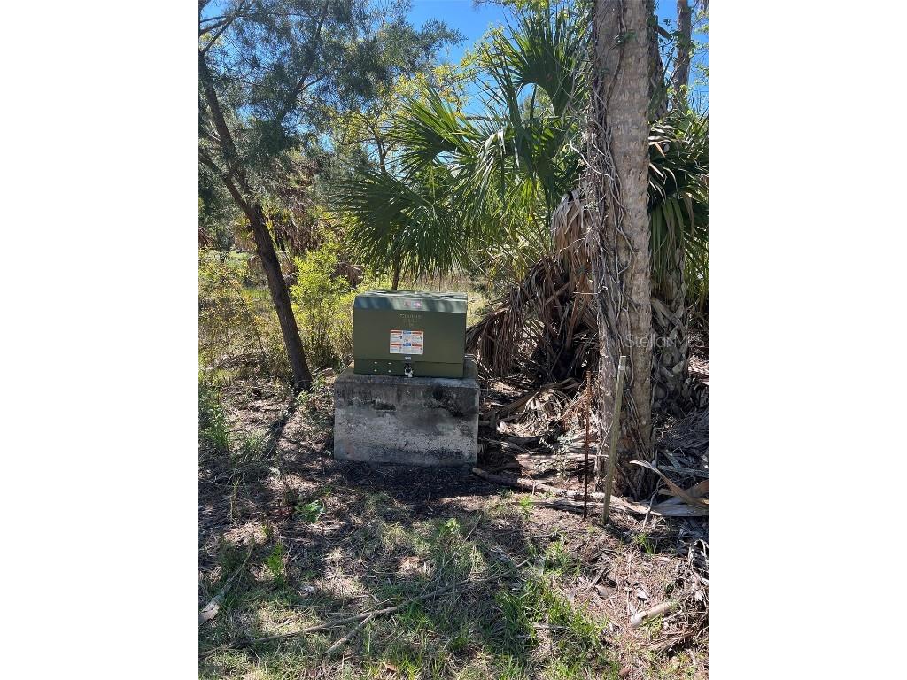 Rye Key Cedar Key FL 32625 - GULF OF MEXICO OM675445 image6