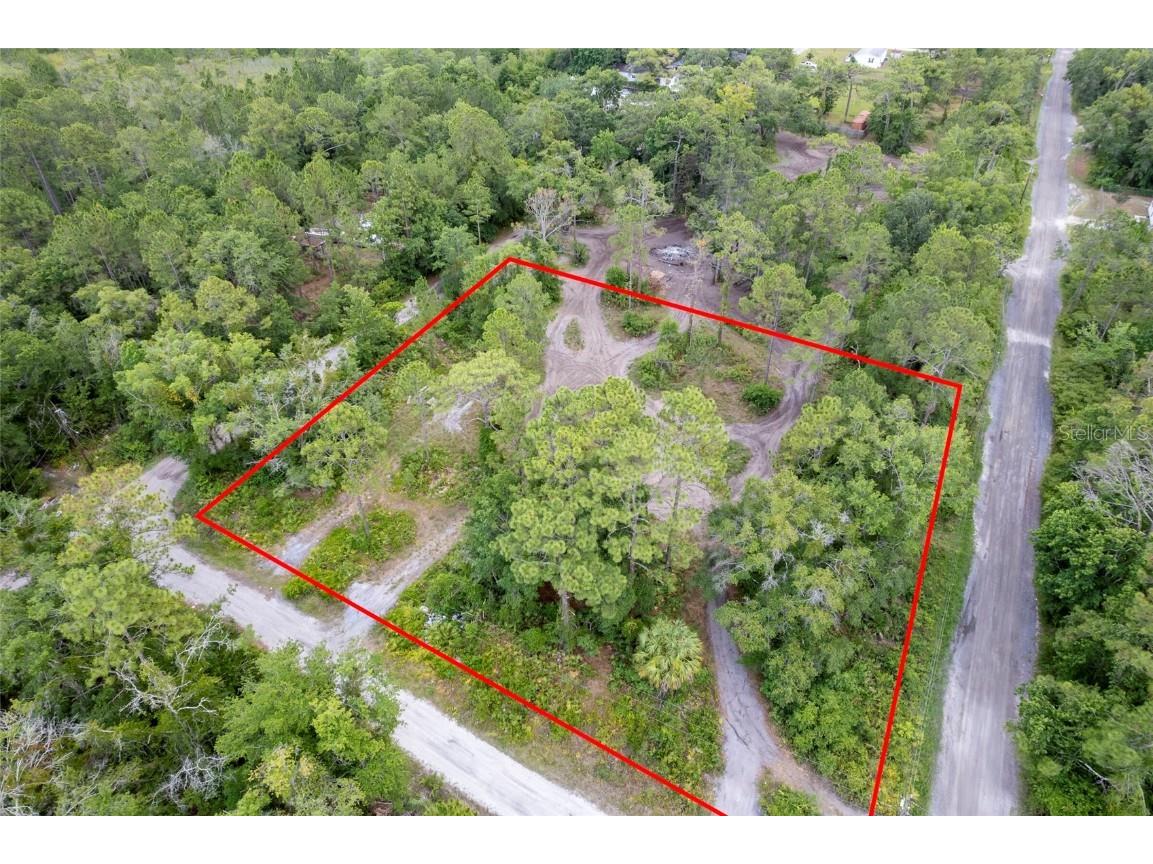 Ryland Avenue New Port Richey FL 34654 T3548379 image1