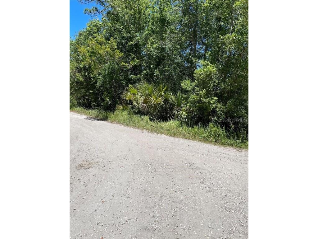 Ryland & Evergreen New Port Richey FL 34654 T3447171 image1