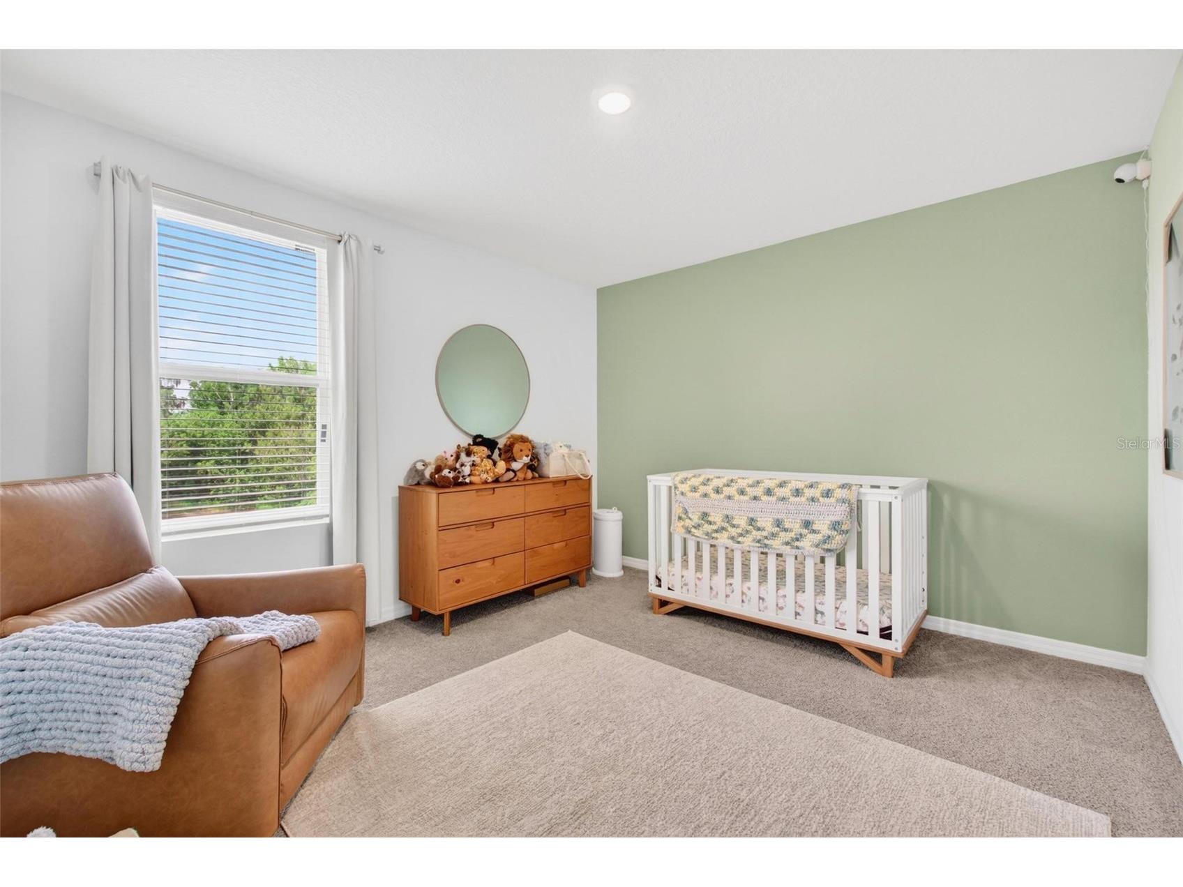 11465 Stone Pine Street Riverview FL 33569 TB8505602 image29