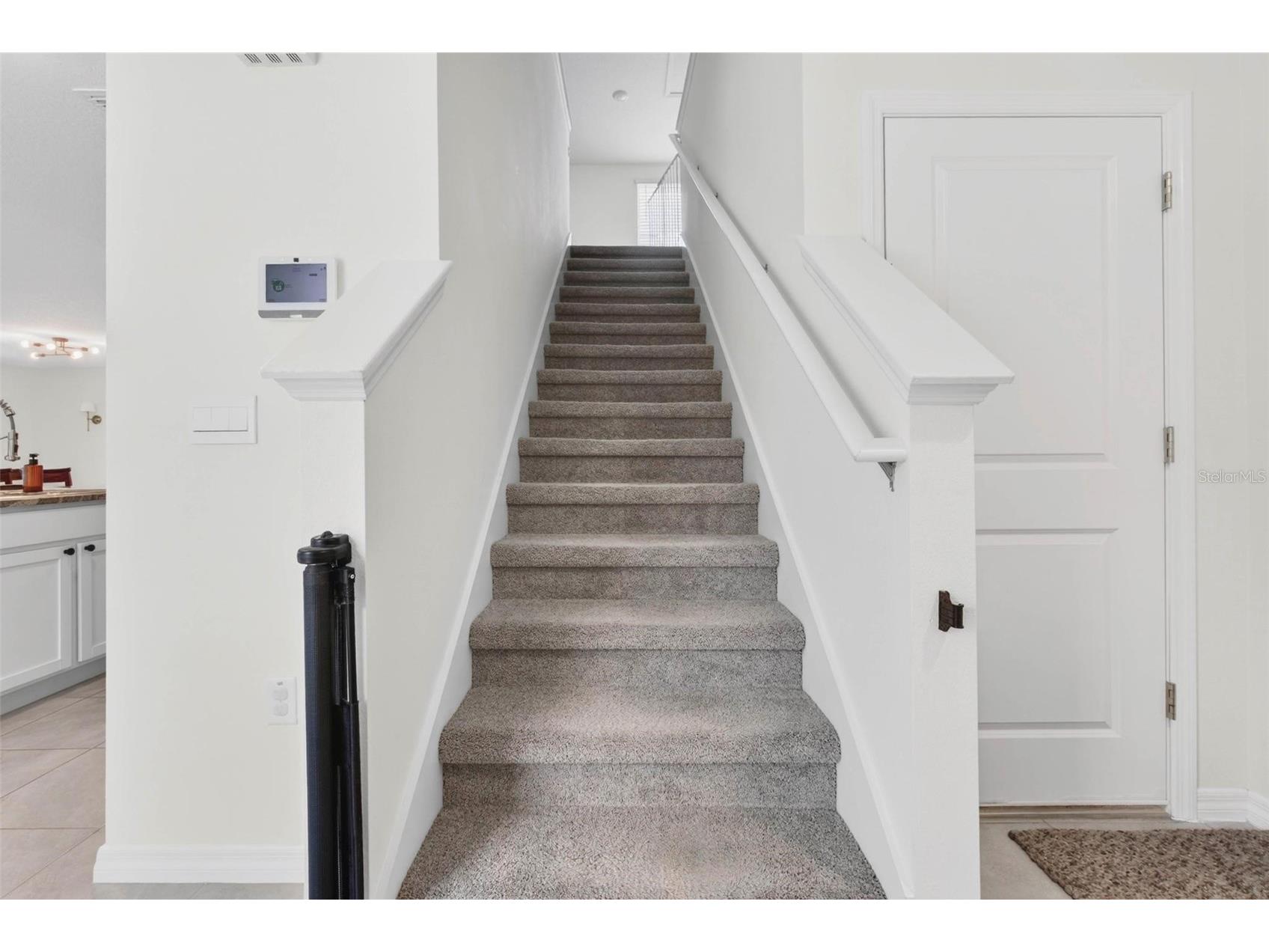 11465 Stone Pine Street Riverview FL 33569 TB8505602 image32