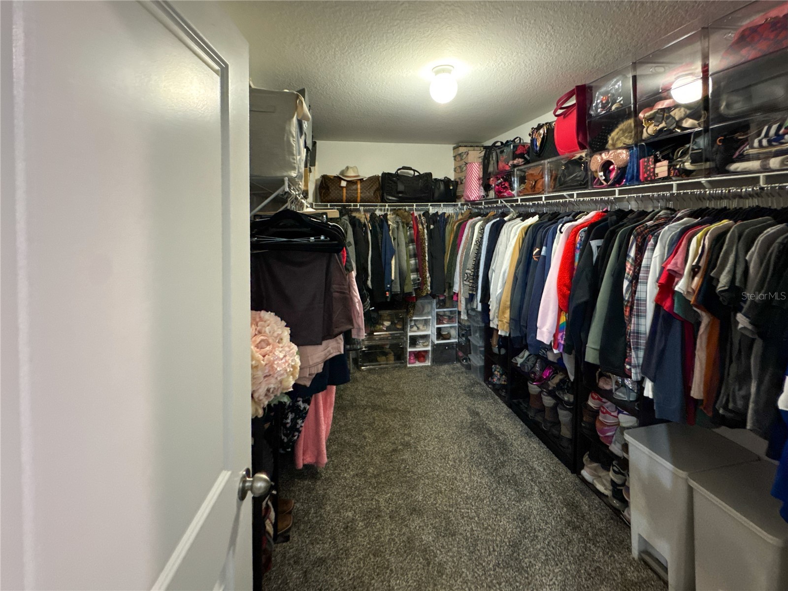  Riverview FL 33578 S5144855 image17