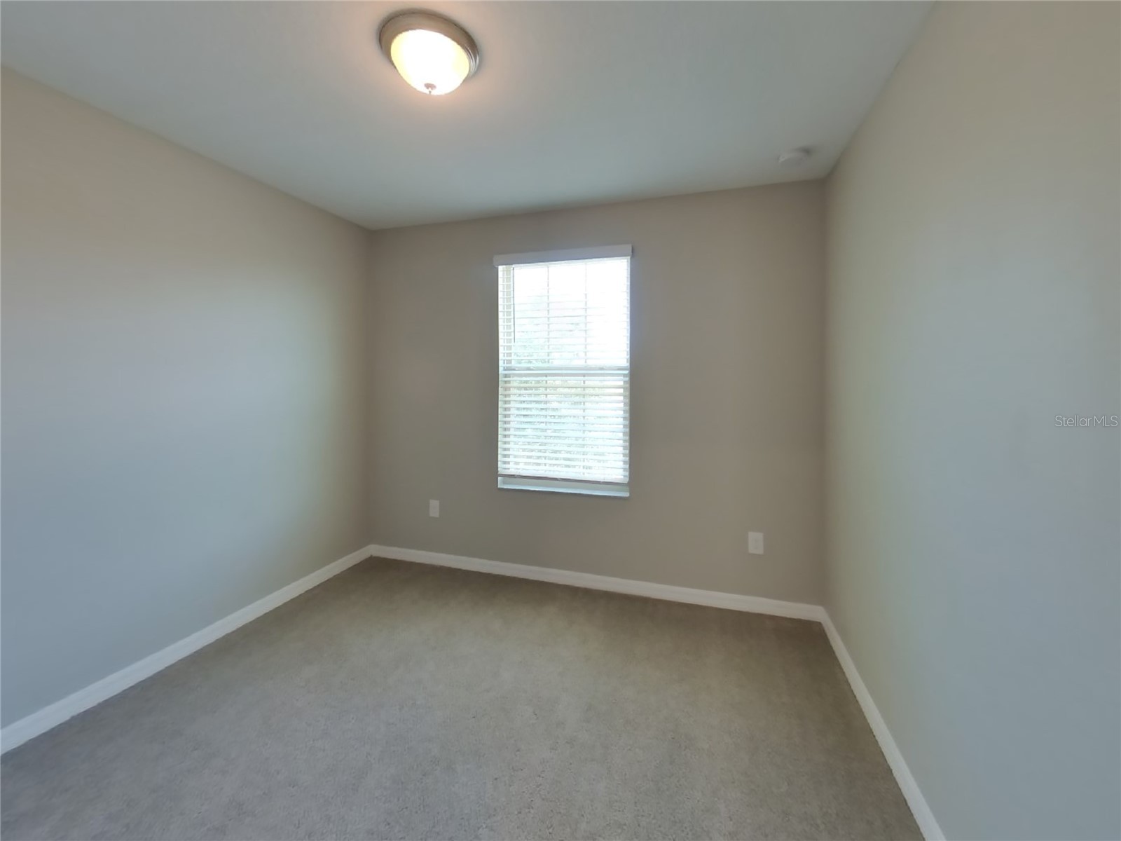  Riverview FL 33578 TB8496454 image14