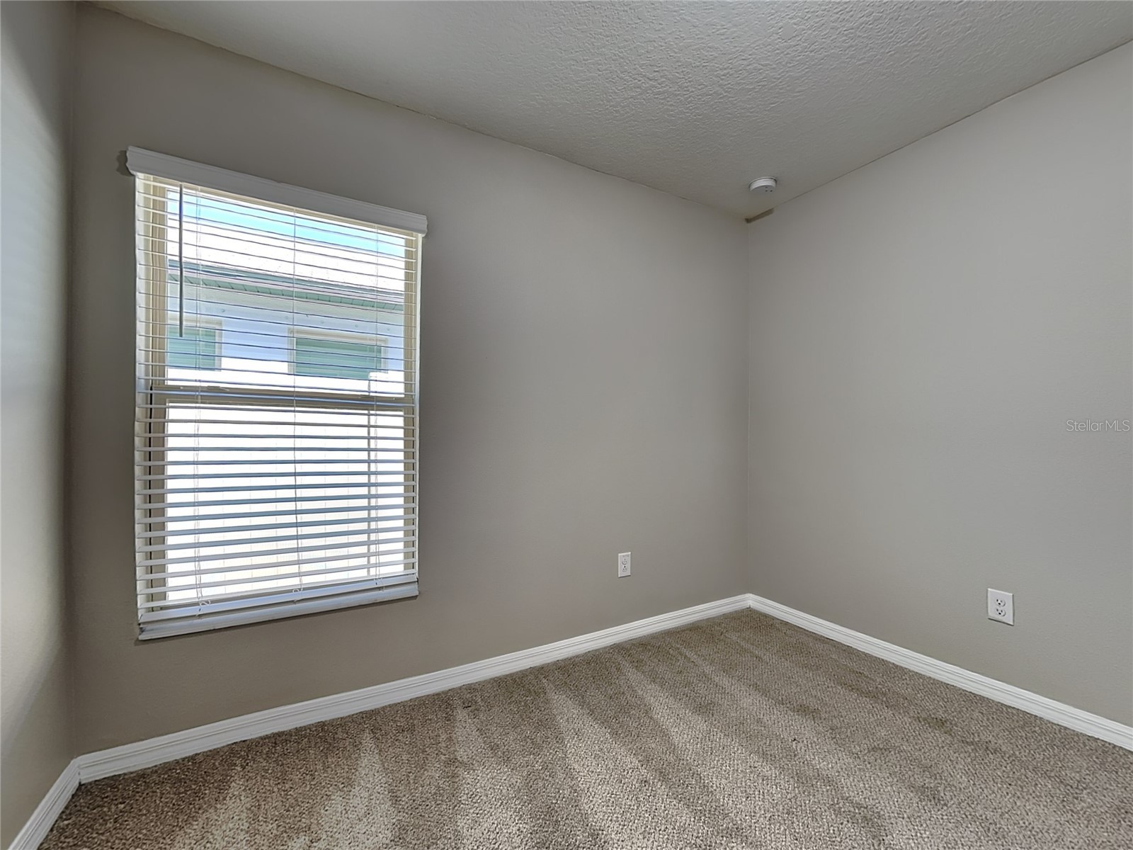  Riverview FL 33578 TB8510403 image14