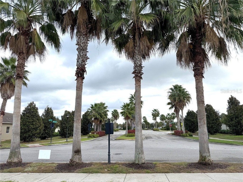  Riverview FL 33579 TB8455244 image47