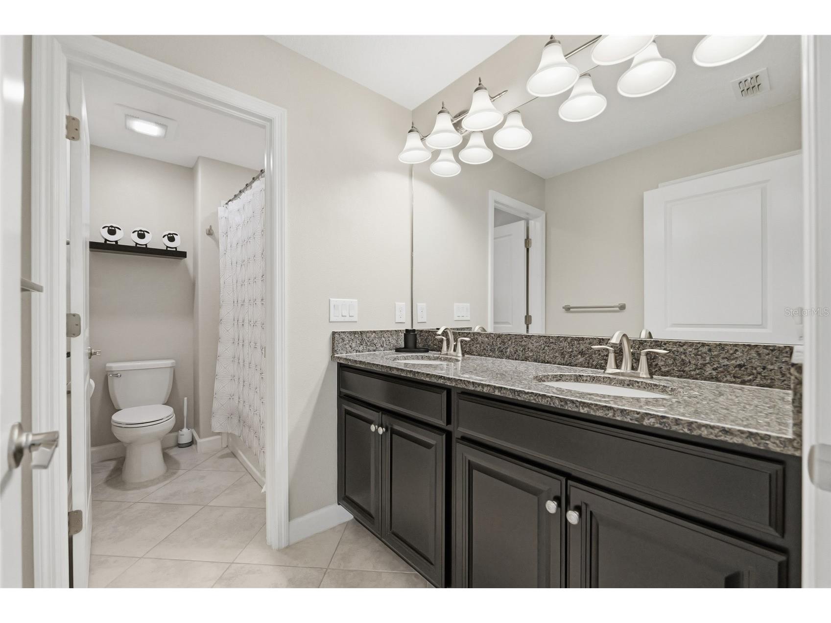 9731 Ivory Dr Ruskin FL 33573 TB8520805 image36