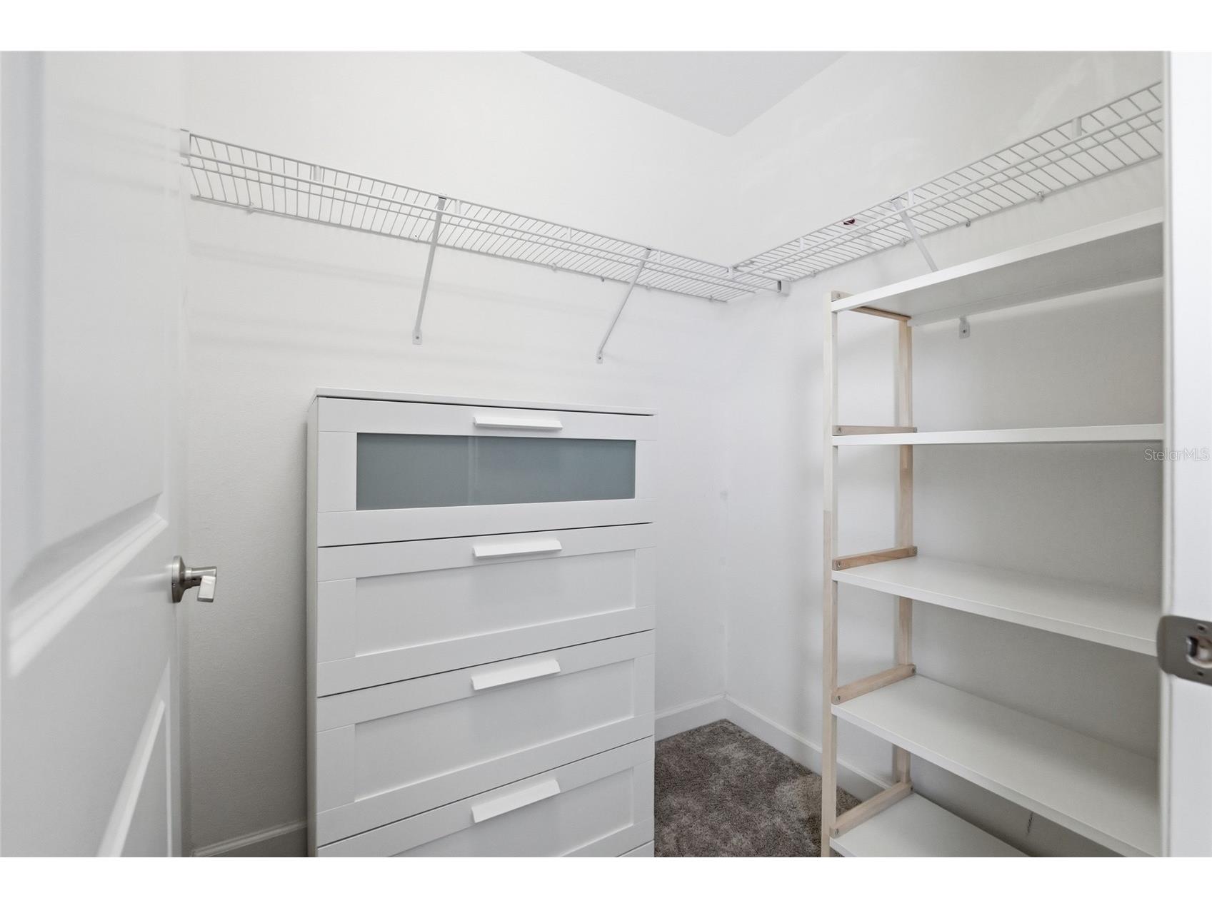 9731 Ivory Dr Ruskin FL 33573 TB8520805 image40