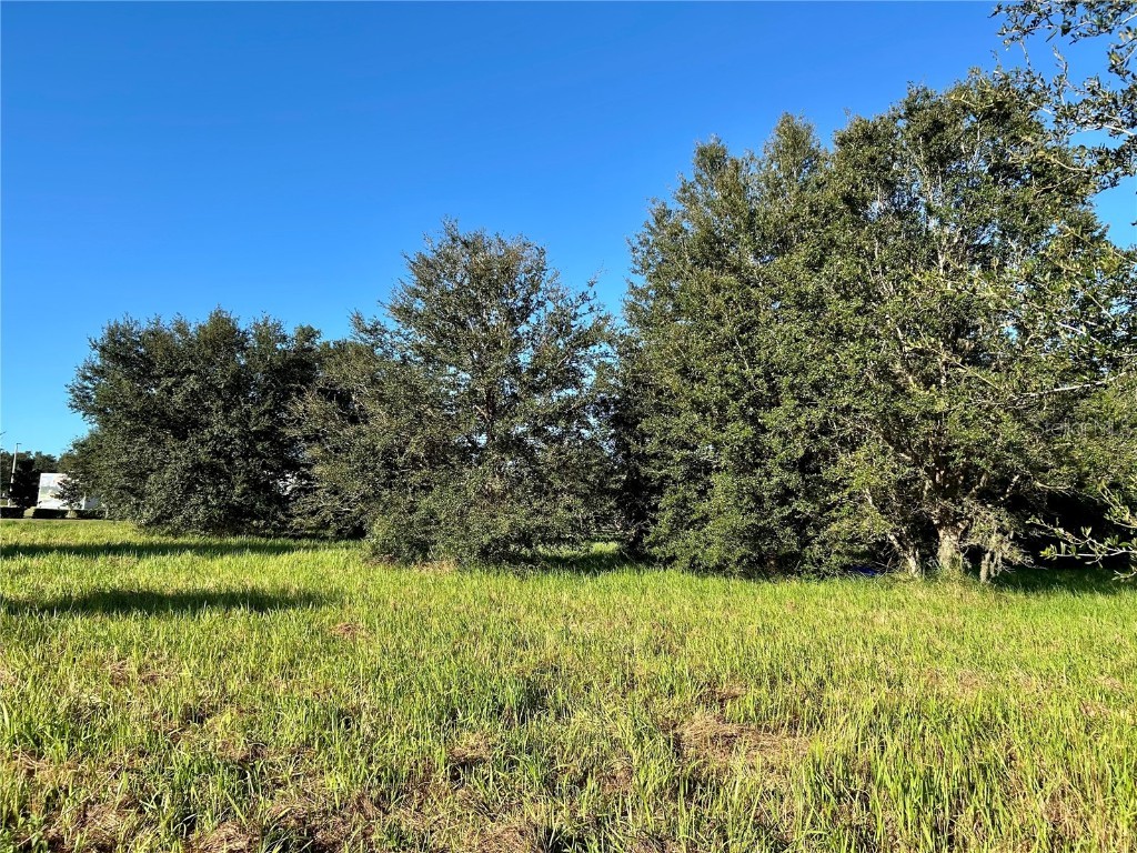 S 1st Avenue Wauchula FL 33873 L4956646 image2