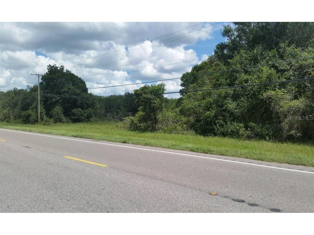 S 301 Highway Wimauma FL 33598 T3437763 image1