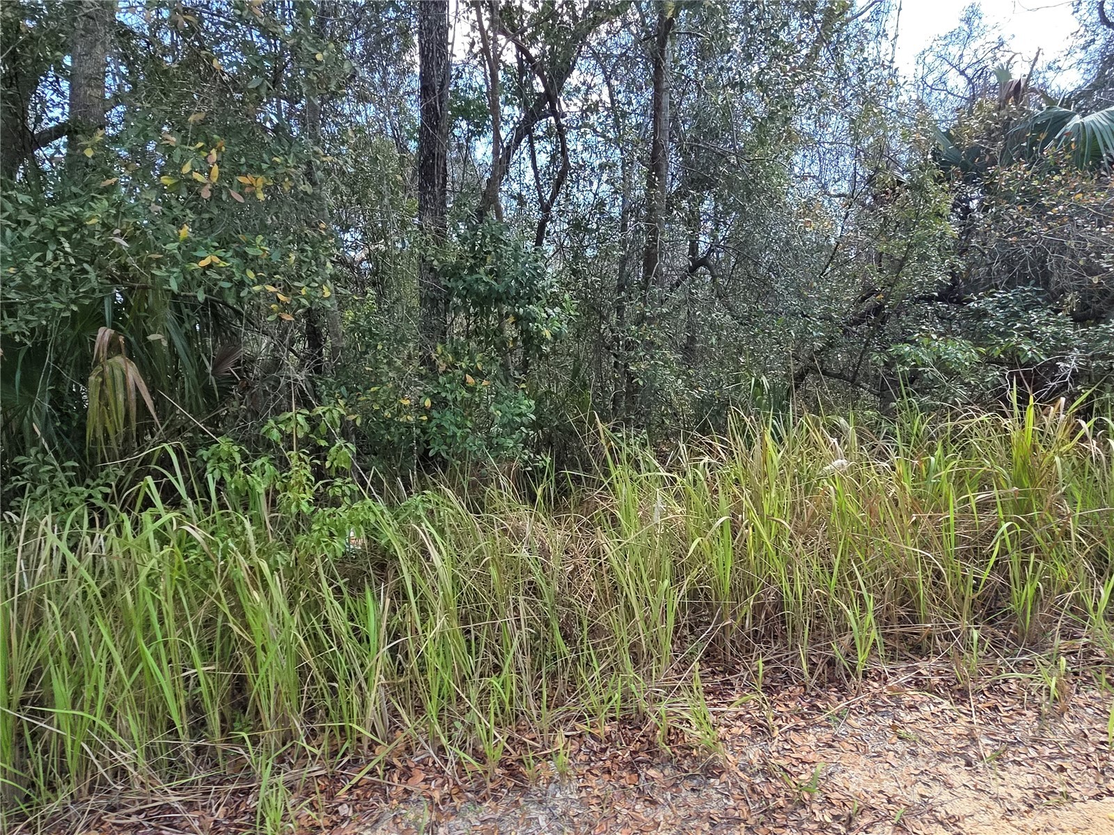 S 7th Street Deland FL 32724 V4947846 image2