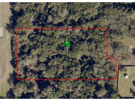 S Adelle Avenue Deland FL 32720 V4947365 image3