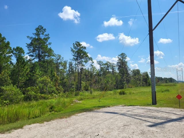 S Apopka Vineland Orlando FL 32821 O6075105 image10