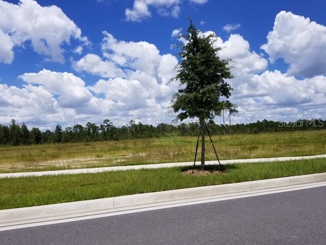 S Apopka Vineland Road Orlando FL 32821 O5918817 image1