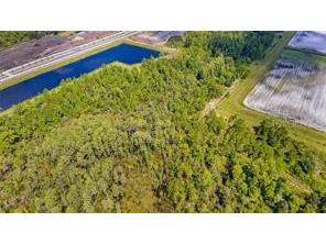 S Apopka Vineland Road Orlando FL 32821 O6188426 image5