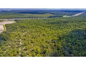 S Apopka Vineland Road Orlando FL 32821 O6188426 image7